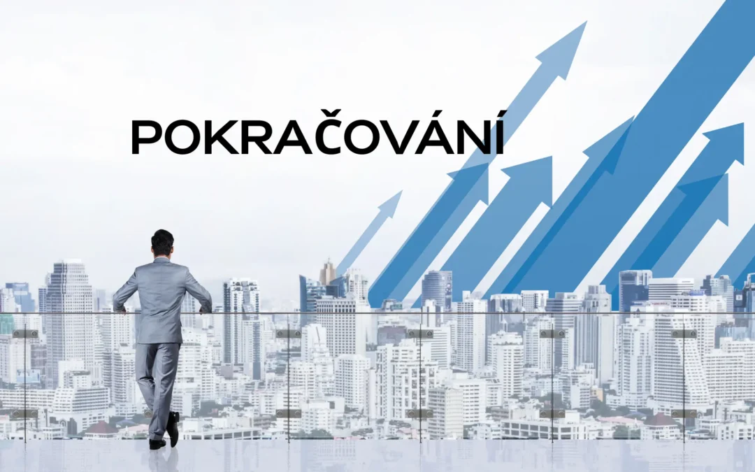 Různé typy investičních strategií: Jak si vybrat tu pravou?